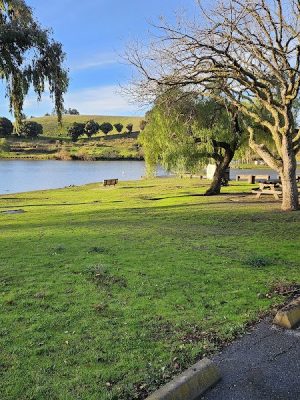 City of Milpitas Dog Park at Ed R. Levin
