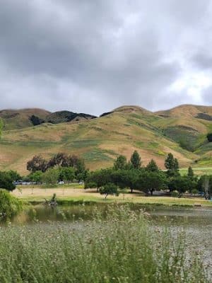 City of Milpitas Dog Park at Ed R. Levin