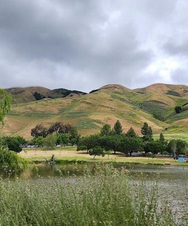 City of Milpitas Dog Park at Ed R. Levin