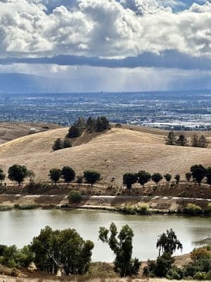 City of Milpitas Dog Park at Ed R. Levin