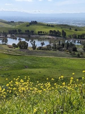 Ed R. Levin County Park