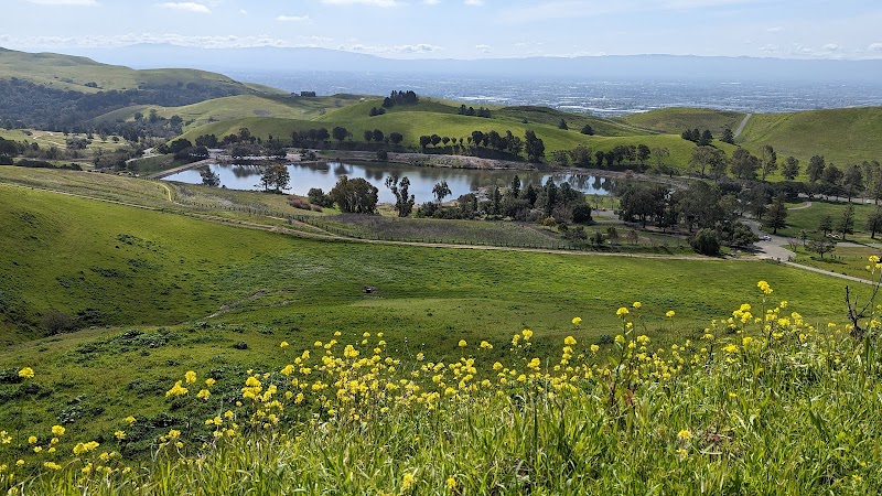 Ed R. Levin County Park - Milpitas, CA