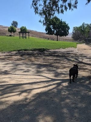 Ed R. Levin County Park