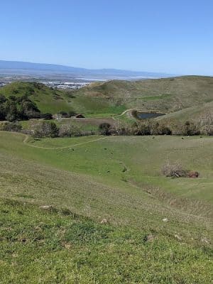 Ed R. Levin County Park