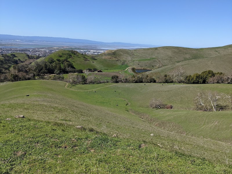 Ed R. Levin County Park - Milpitas, CA