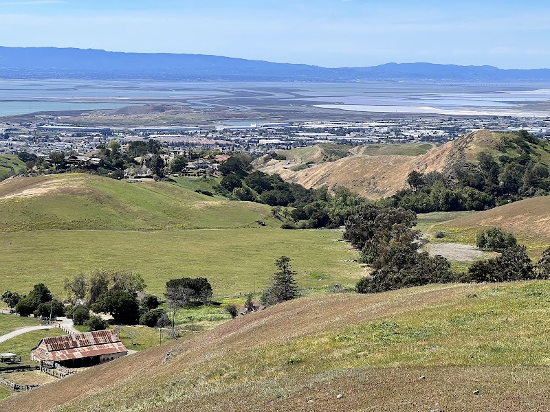 Ed R. Levin County Park - Milpitas, CA