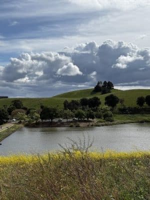 Ed R. Levin County Park