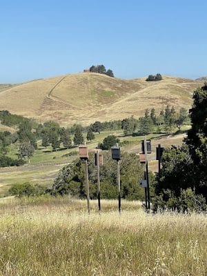 Ed R. Levin County Park