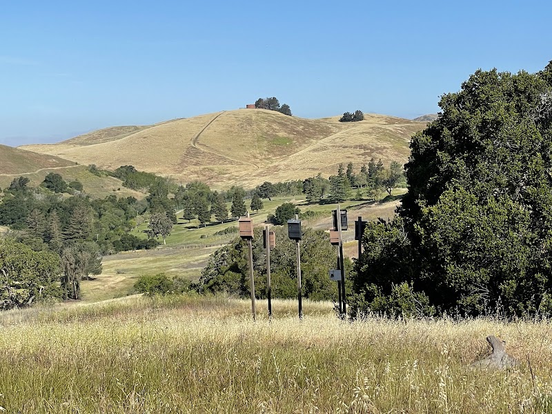 Ed R. Levin County Park - Milpitas, CA