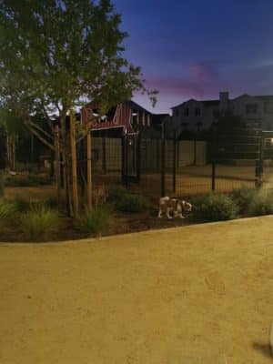 Small Dog park