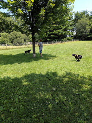 Tails & Trails Dog Park