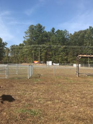 Bark Park Dog Park - Mineral, VA