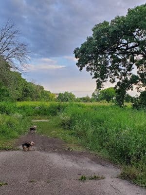 Minnehaha Dog Park