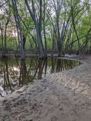 Minnehaha Dog Park