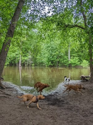 Minnehaha Dog Park