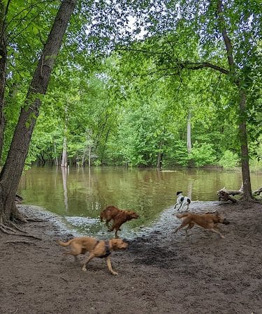 Minnehaha Dog Park