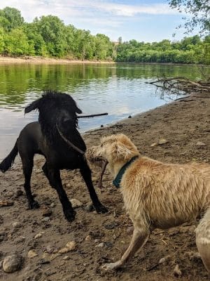 Minnehaha Dog Park