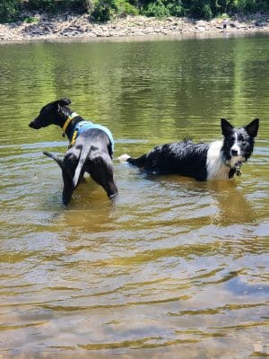 Minnehaha Dog Park