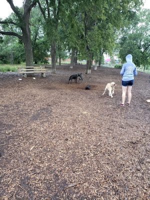 St. Anthony Parkway Off-Leash Dog Park