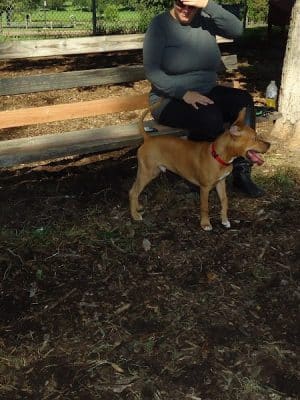 St. Anthony Parkway Off-Leash Dog Park