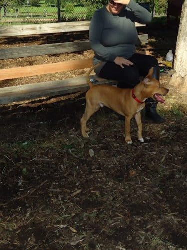 St. Anthony Parkway Off-Leash Dog Park