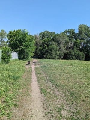 Victory Prairie Off-Leash Recreation Area