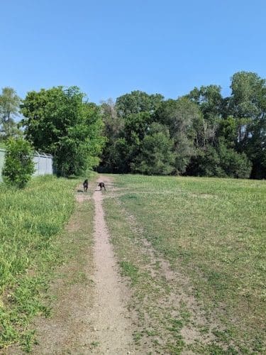 Victory Prairie Off-Leash Recreation Area