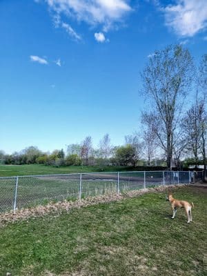 Victory Prairie Off-Leash Recreation Area