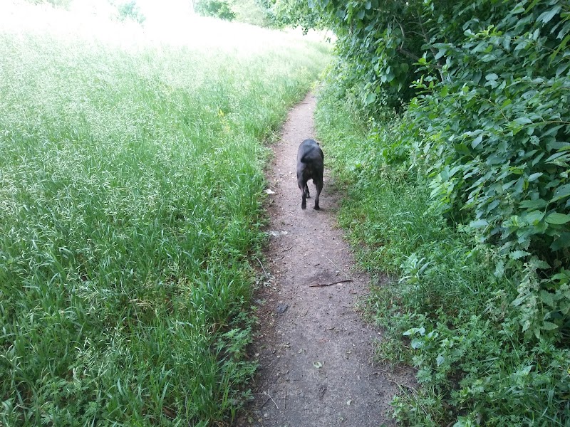 Victory Prairie Off-Leash Recreation Area - Minneapolis, MN