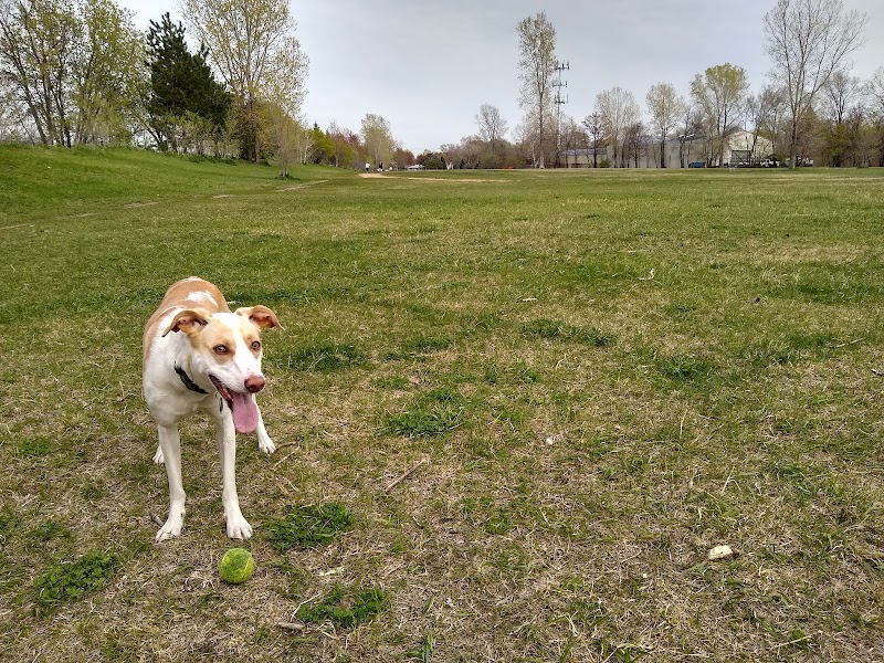 Victory Prairie Off-Leash Recreation Area - Minneapolis, MN