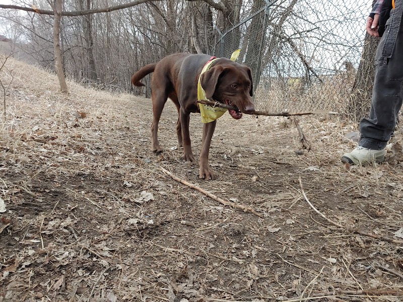 Victory Prairie Off-Leash Recreation Area - Minneapolis, MN