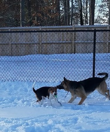 Lakeland Area Dog Park - Minocqua, WI