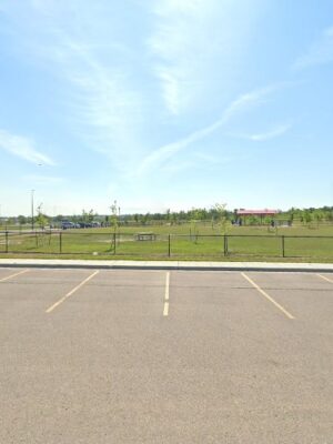 Bark Park