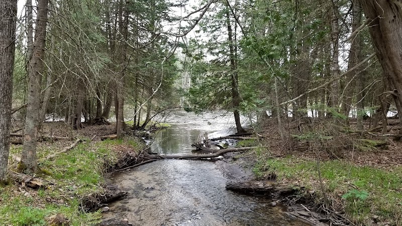 Wolf Creek Trailhead - Mio,