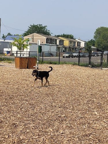 Rail Link Dog Park B.C.