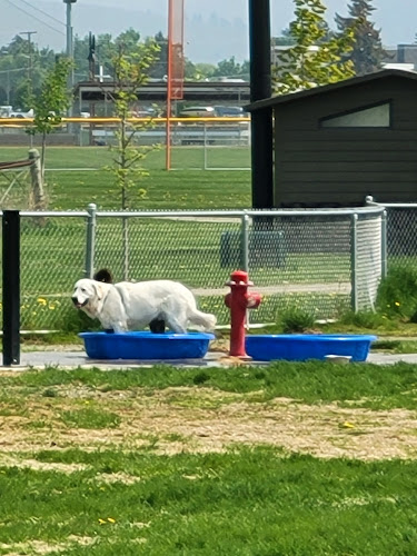 Sgt. Bozo Dog Park