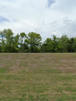 Dog Park