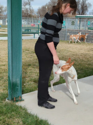 Carol A. Fuller Charity Foundation Dog Park