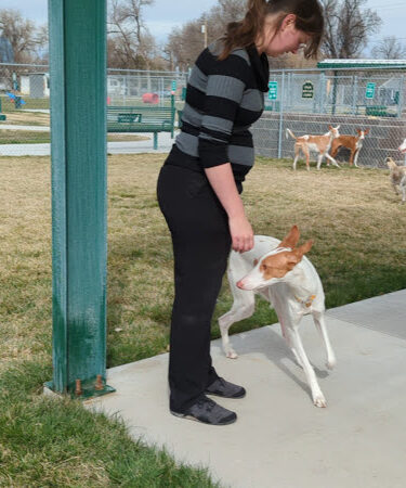 Carol A. Fuller Charity Foundation Dog Park