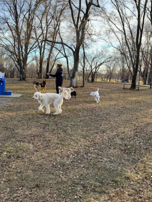 Cadwell Dog Park