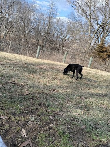 Rothwell Park Dog Park