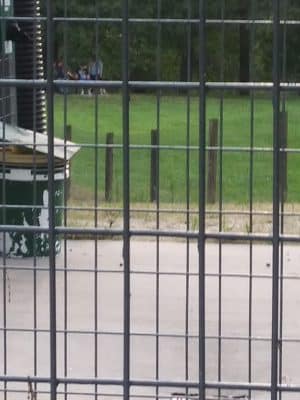 Rothwell Park Dog Park
