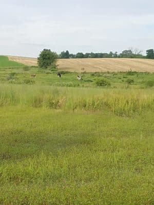 Centerport Borough Recreation Area