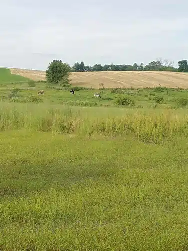 Centerport Borough Recreation Area