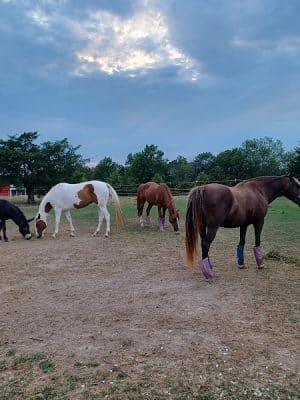 Double Hearts Ranch