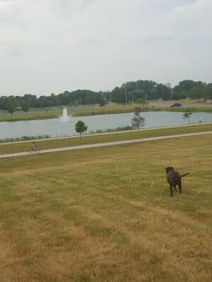 Munson Park