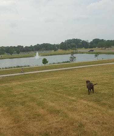 Munson Park