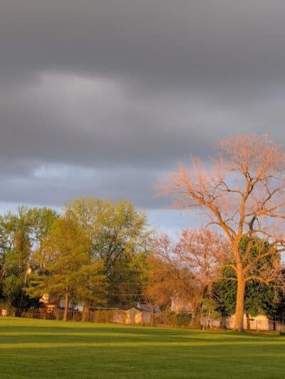 Munson Park - Monroe,
