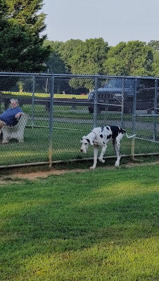 Thompson Park Dog Park