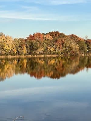Thompson Park